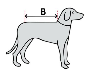 Schwimmweste Petfloat, für Hunde und Katzen